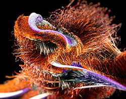 ВТБ выяснил, когда клиенты выбирают оплату по QR-коду