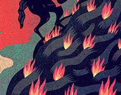 В Санкт-Петербурге предложили увеличить время оплаты парковки до 24 часов