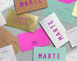 Брянские студенты могут стать участниками Всероссийской олимпиады «Я — профессионал»