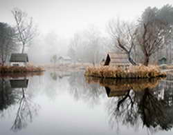 Прошло рабочее совещание по уходу за пожилыми