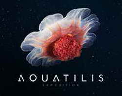 Демократы проявили открытость // Кто выиграл от рекордного шатдауна в США