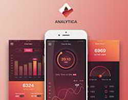 BeringPro заключила соглашение о партнерстве с IT Vectura
