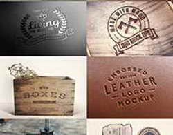 Зоозащитники опровергли причастность к акции в поддержку группы «Стоптайм»