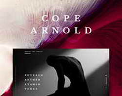 Абхазия отправляет в Россию тонны мандаринов и хурмы — больше, чем в прошлом году