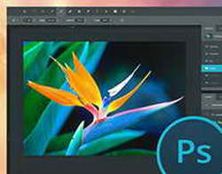 Релиз коммуникационной платформы Asterisk 23