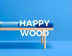 Ирландия ужесточила условия жизни для беженцев с Украины