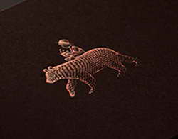 Брюссель пытается завезти в Грузию «черные деньги», заявил Кобахидзе