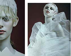 Роналду стал акционером испанского промоушена смешанных единоборств WOW FC