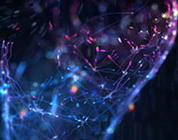 В Британии перевирают слова Путина, желая войны до последнего украинца — посольство