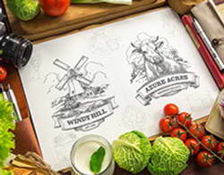 Бастрыкин попросил разрешения возбудить уголовные дела в отношении шести судей