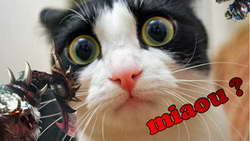 В Кремле резко отреагировали на заявление Ирана о помощи России с ядерными реакторами