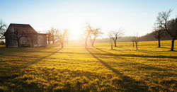 Песков: идет серьезный процесс по выходу на мирное урегулирование на Украине